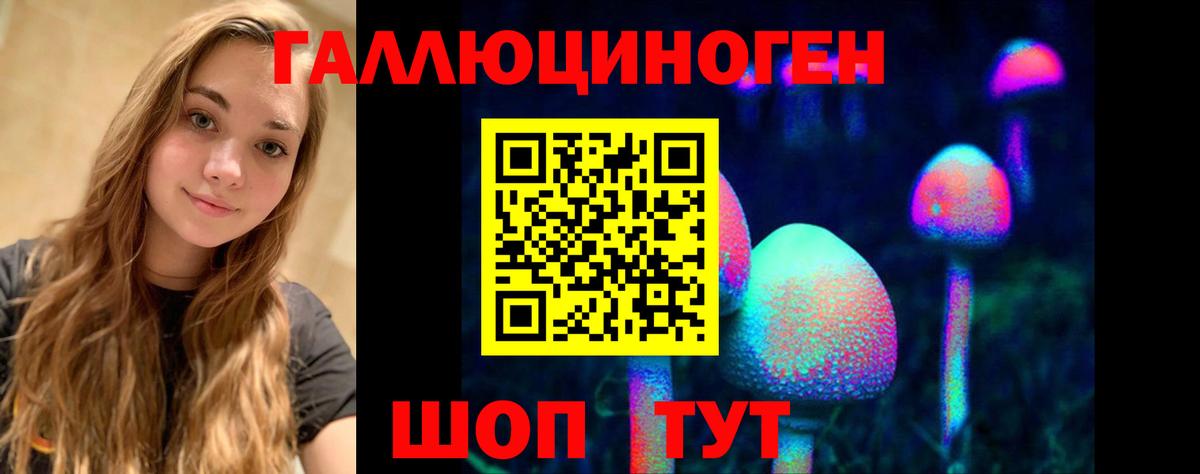 Моздок  Галлюциногенные грибы ЛСД  Вход с VPN 